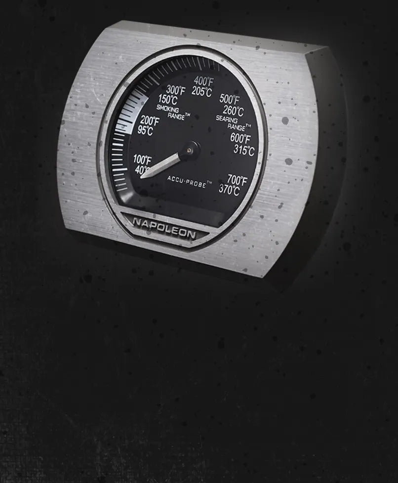 Accu Temperature Probe