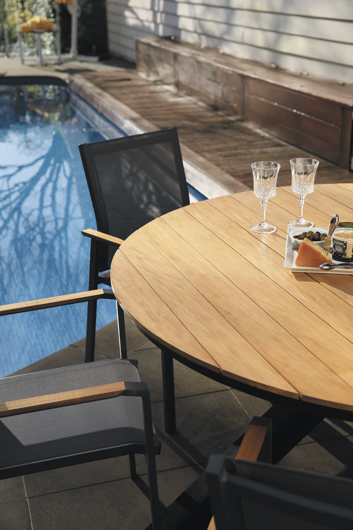 Shelta Empire Premium Dining Chairs