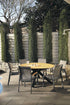 Shelta Empire Premium Dining Chairs
