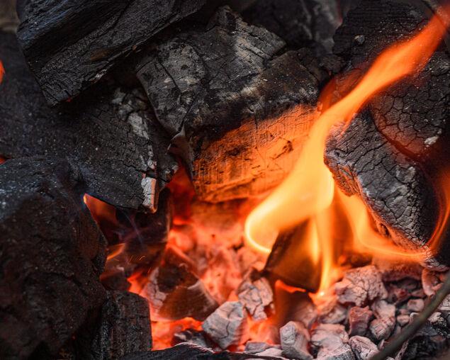 Kamado Joe ® Charcoal 9kg - Joe's BBQs