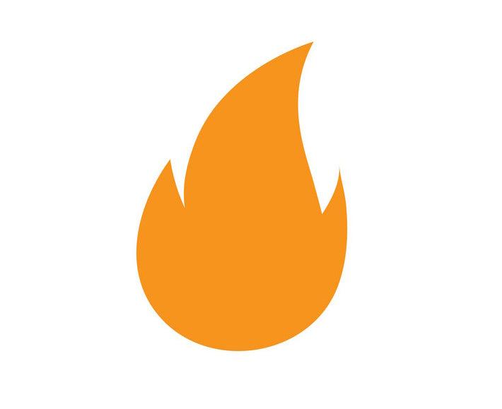Flame safeguard systems