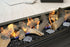 Real Flame Element 1200 Double Sided Power Balanced Flue Gas Fireplace