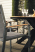 Shelta Empire Premium Dining Chairs