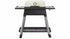 Everdure by Heston Blumenthal Force Gas BBQ Stone