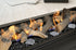 Real Flame Element 1200 MK2 Power Balanced Flue Gas Fireplace