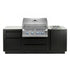 Napoleon Outdoor Kitchen with 32" Built-in 700 Series BBQ