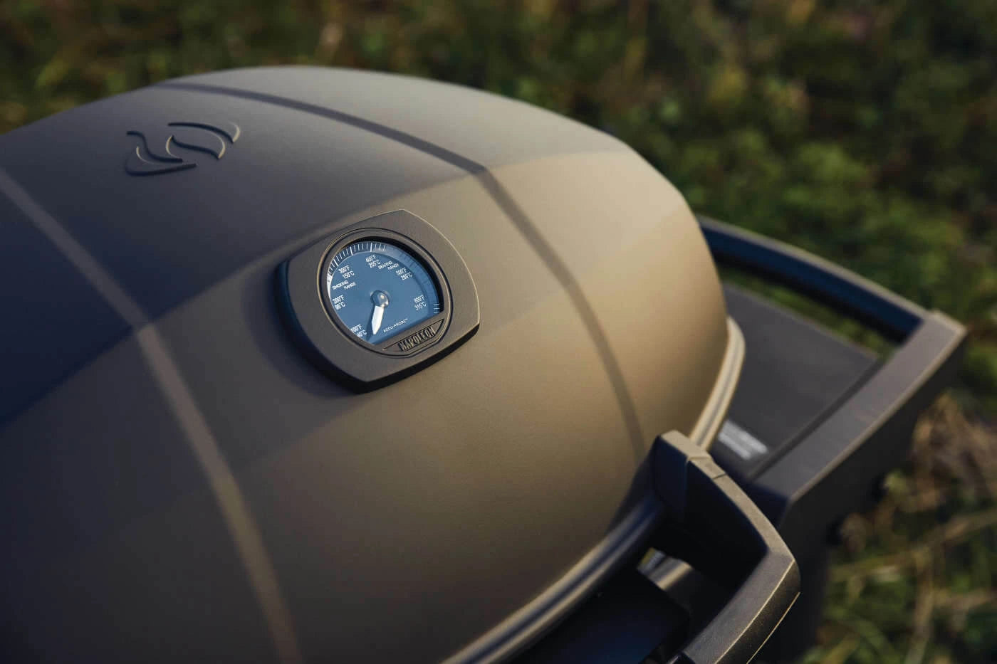 Napoleon Phantom Travel Q Pro with Scissor Cart Bundle