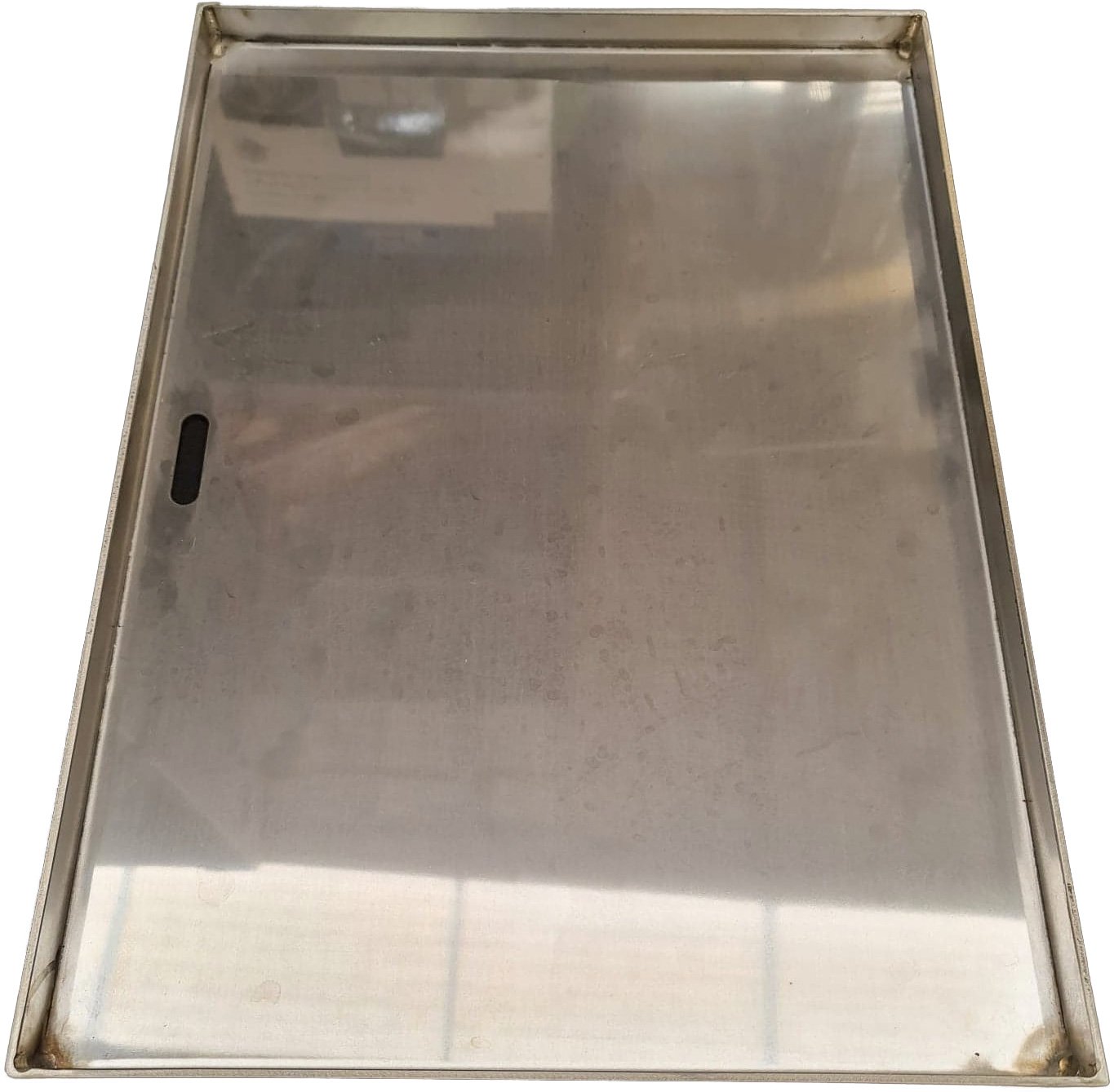 Napoleon LEX Stainless Plate